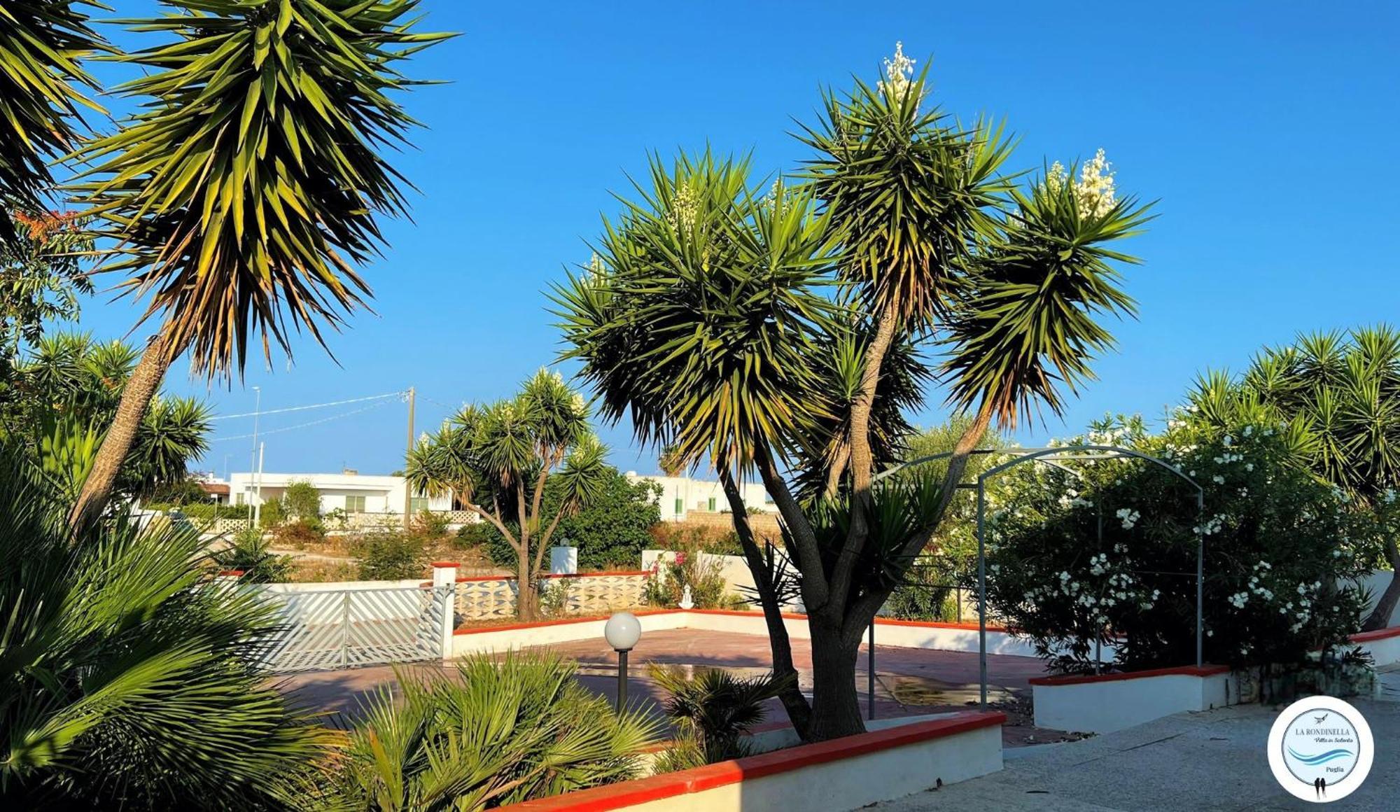 Villa La Rondinella - Torre San Giovanni Εξωτερικό φωτογραφία